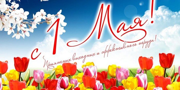 1461841760_1-maya-stihi[1]